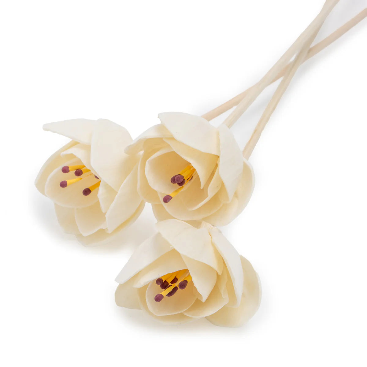 Reed Diffuser - Coming Soon