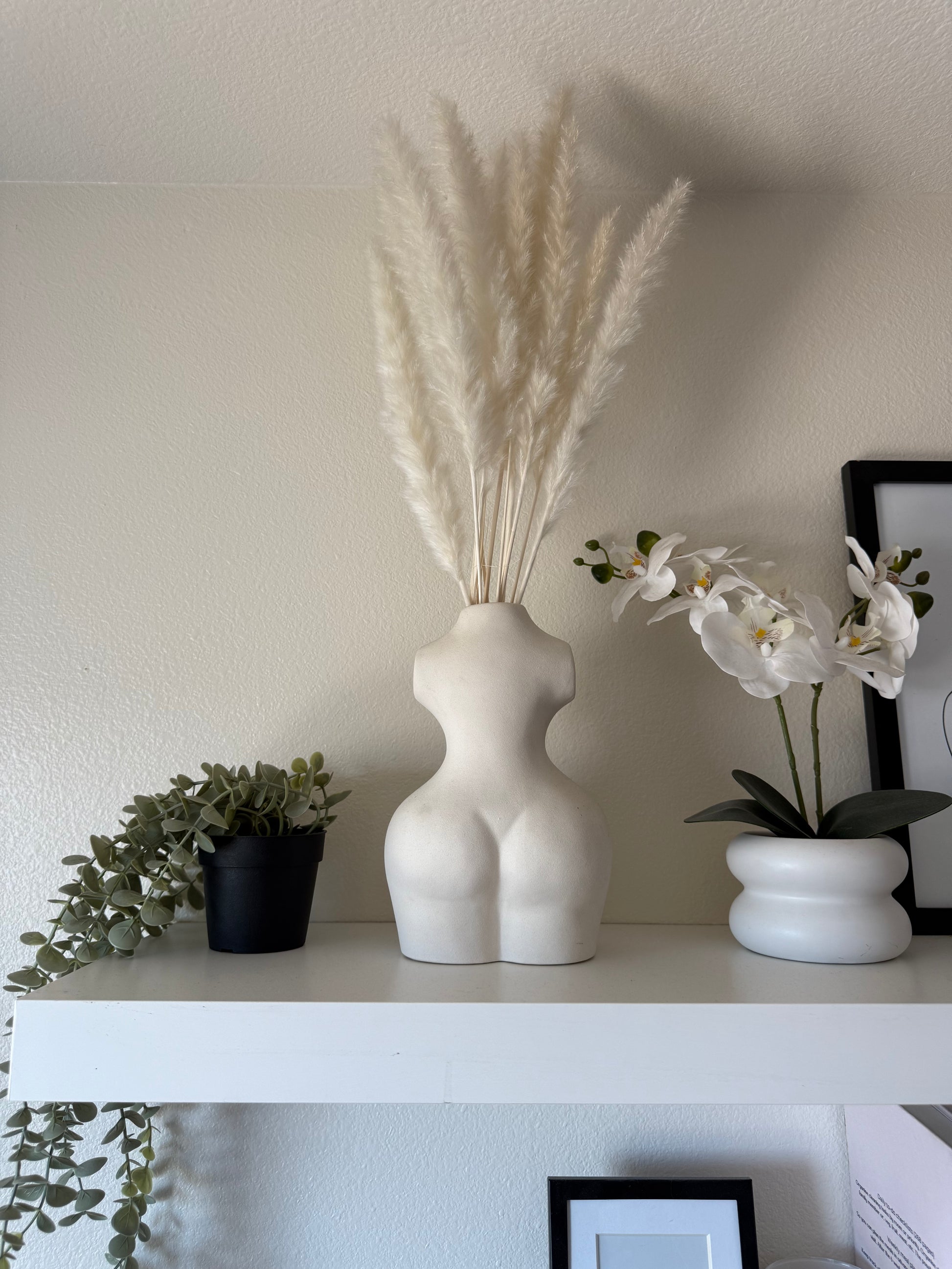 Ivory Pampas